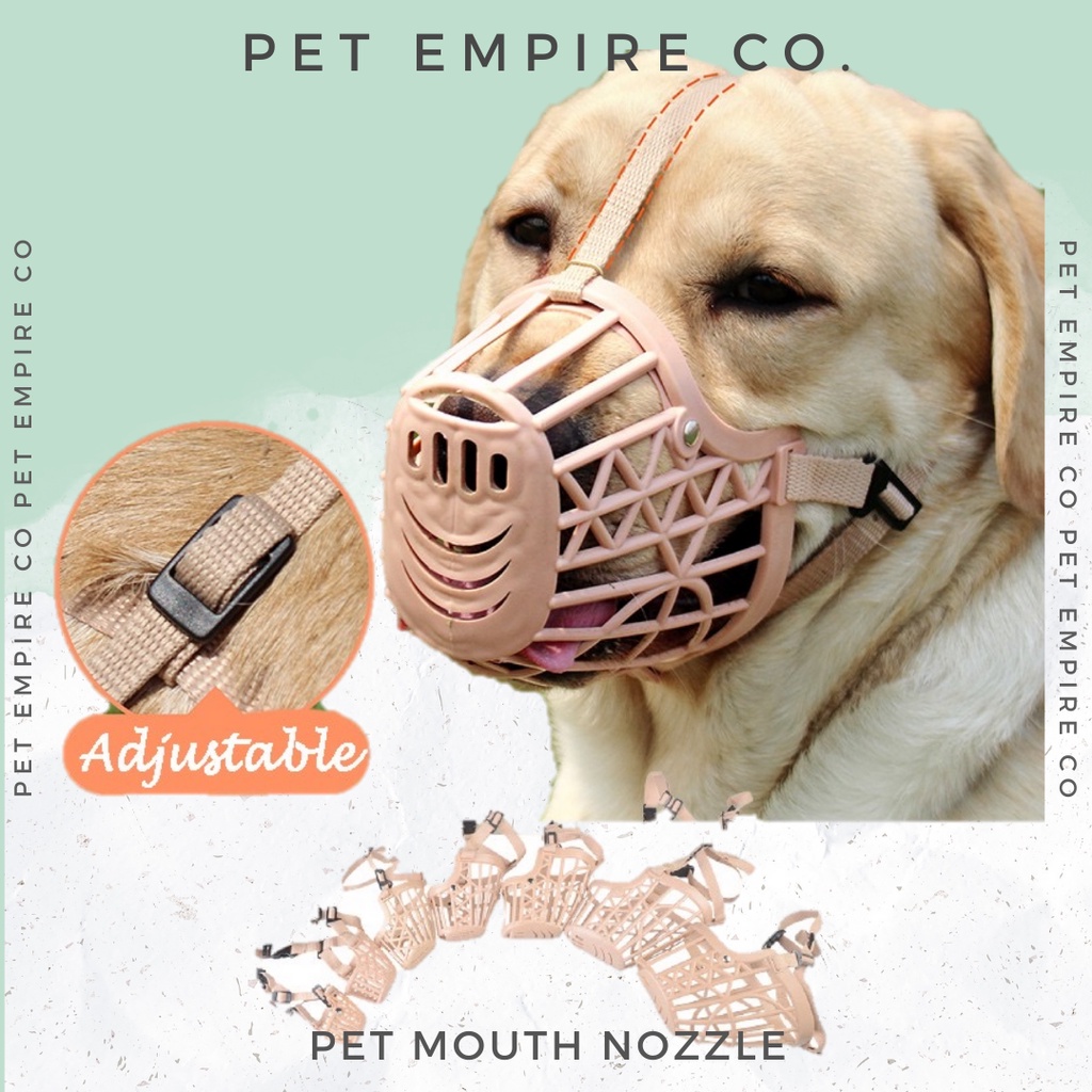 Dog deals mouth guard