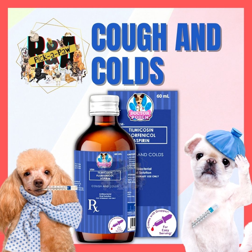 Dogs with colds sales treatment