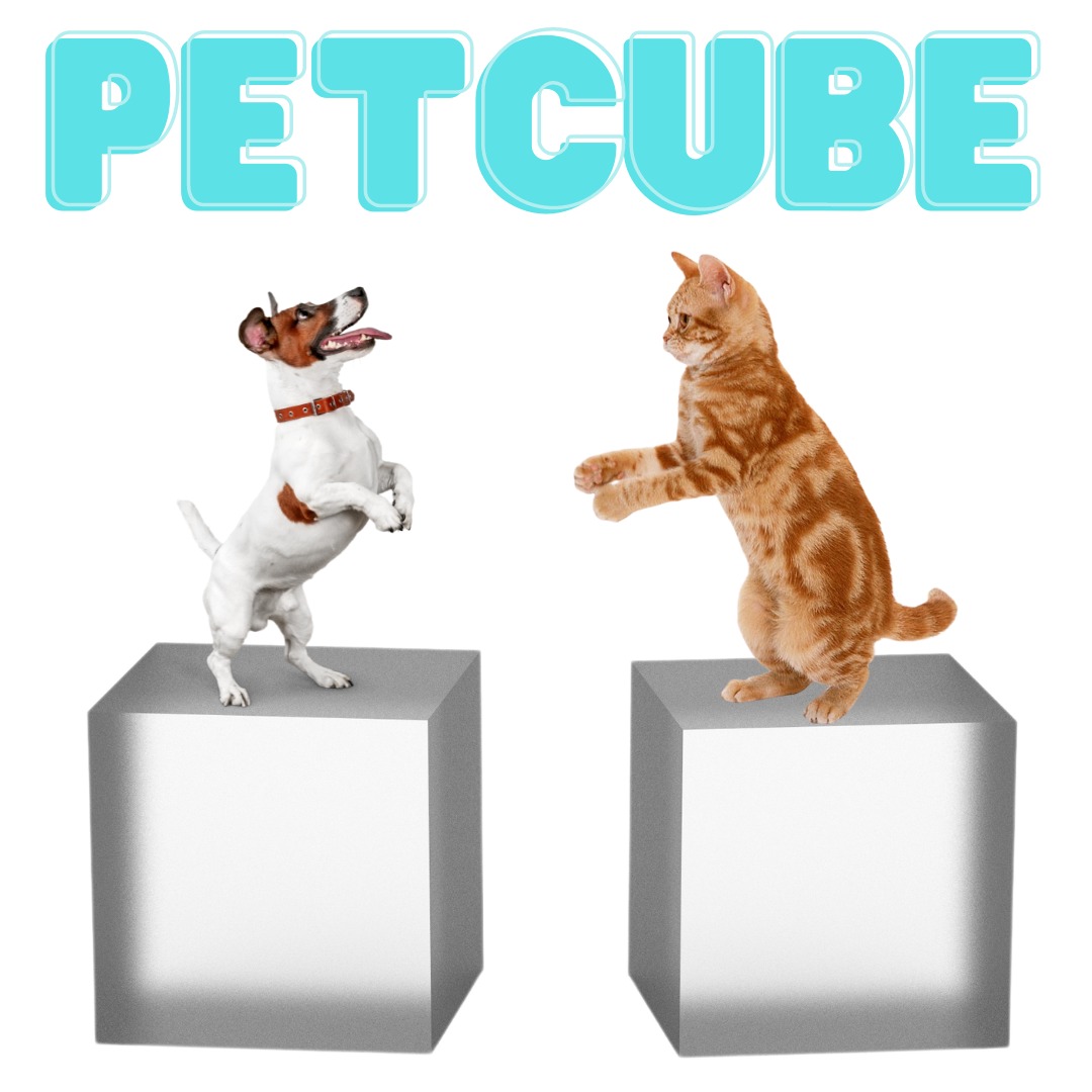 Pet Cube, Online Shop Shopee Philippines
