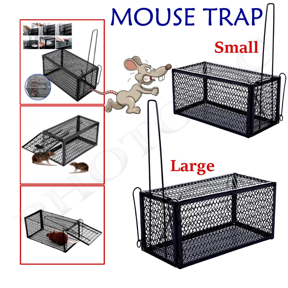 Shop mouse trap for big rats for Sale on Shopee Philippines