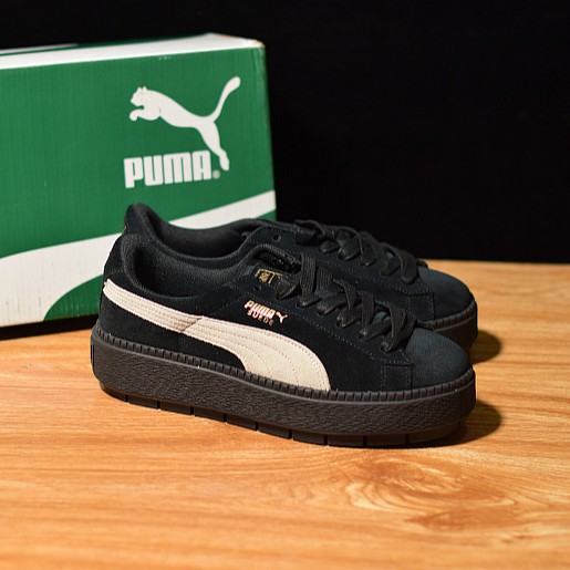 Trace puma store