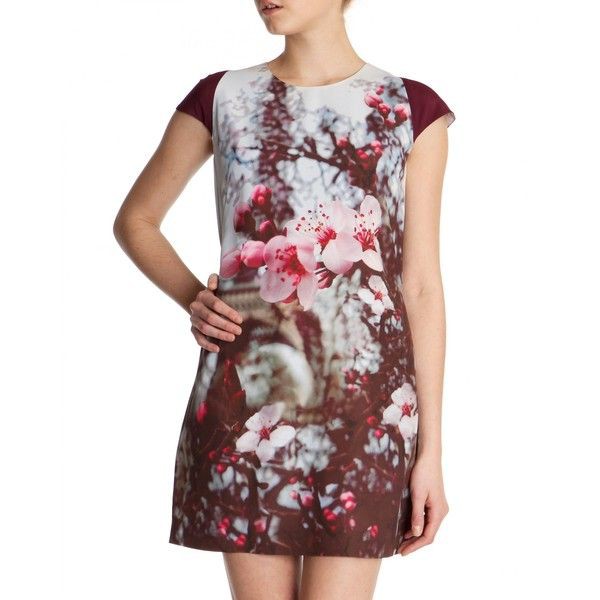 Ted baker hot sale dress price