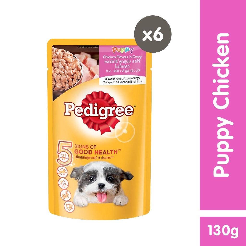 Pedigree puppy wet food hot sale pouches