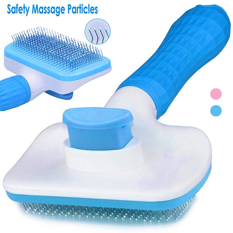 Cat brush hotsell for dandruff