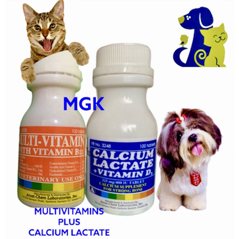 Calcium lactate 2025 for dogs