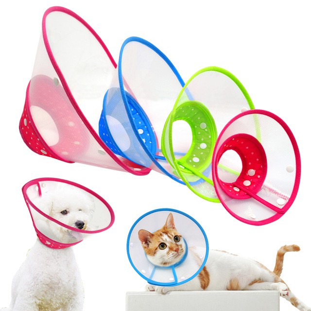 Electronic collar for sales cats