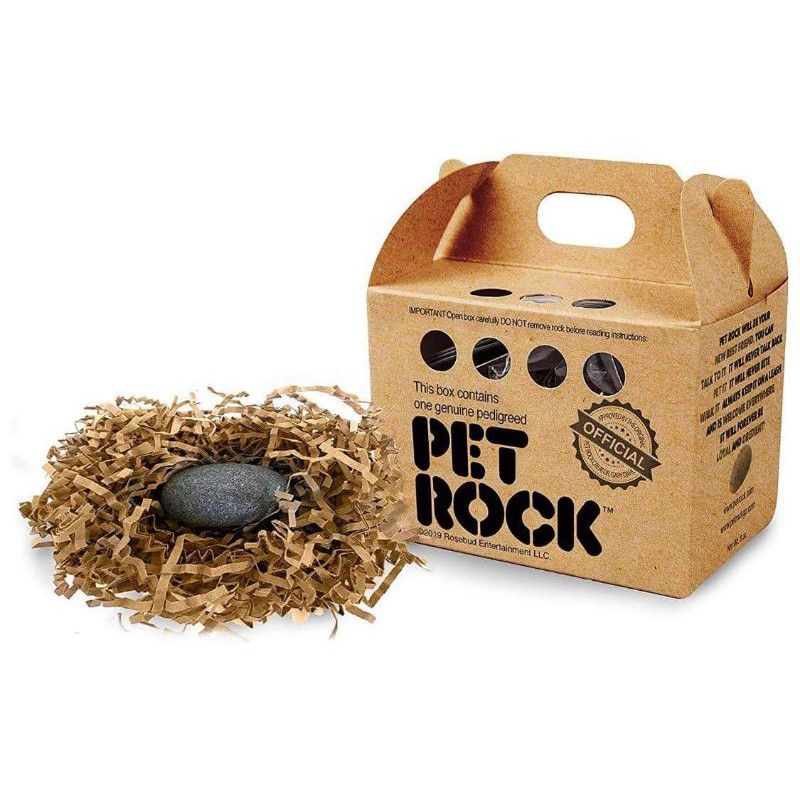The Rise and Fall of the Pet Rock: A Look Back at the 1975 Holiday