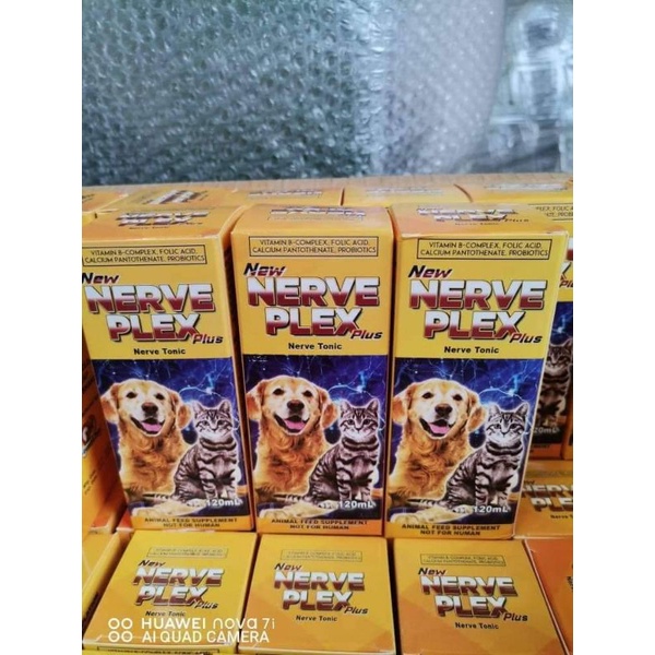 South Cartimar Pet Supplies Online Shop Shopee Philippines