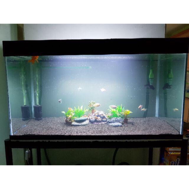 Brand new aquarium fish tank 50 gallons gals w/ sand