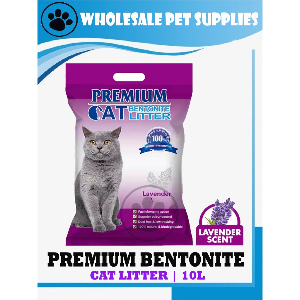 Bentonite cat outlet litter