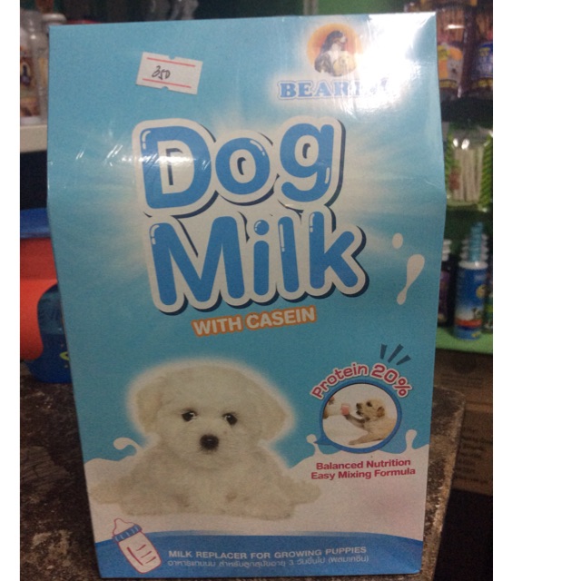 Bear brand store milk for puppies