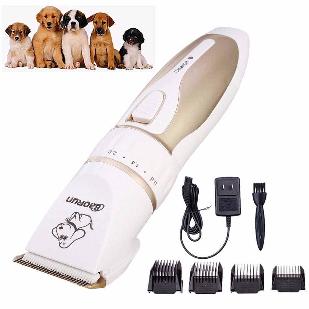 Pet razor clearance