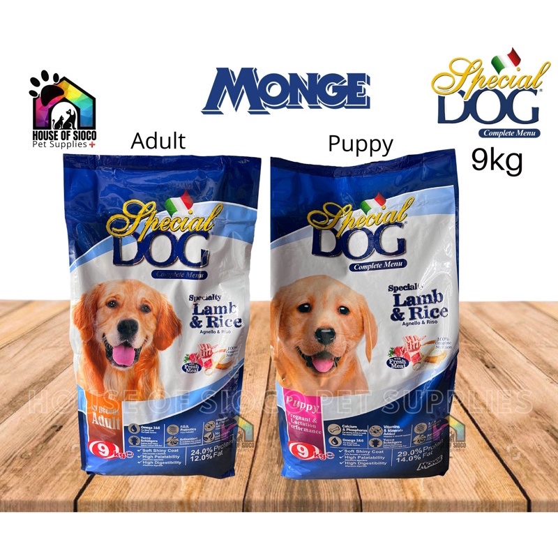 Shopee dog clearance