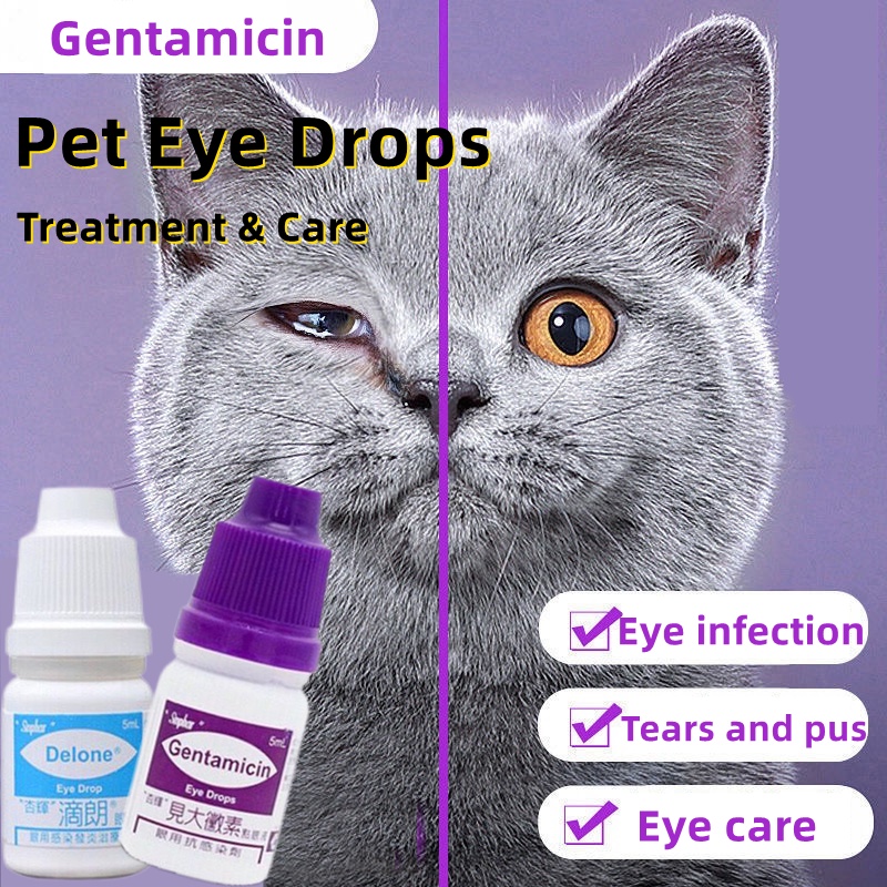 5 ml Gentamicin Eye Drops for Pet Cat Dogs Eye Infection Opthalmic Shopee Philippines