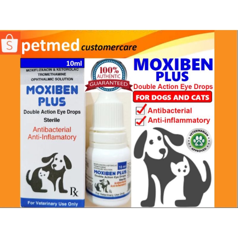 Ketorolac eye drops for dogs clearance dosage