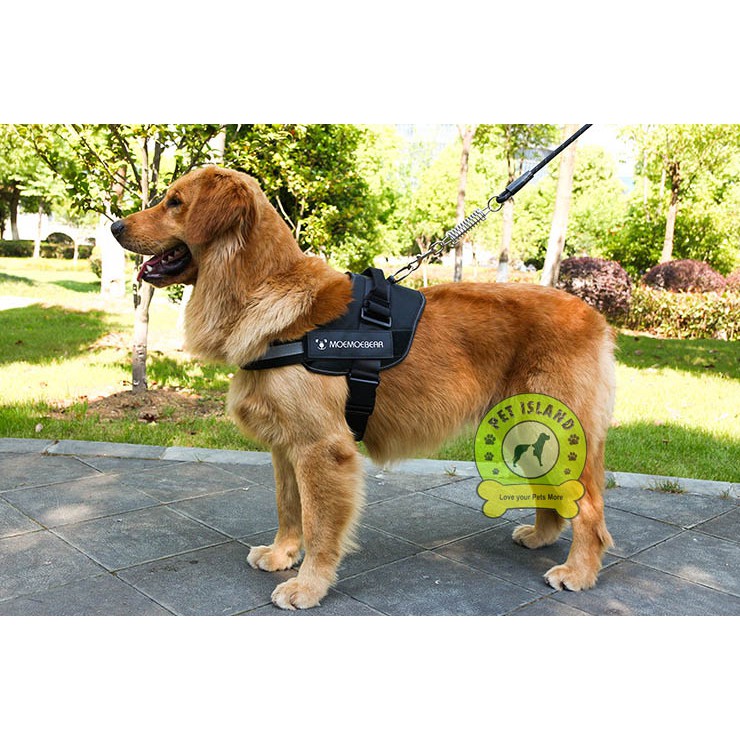 Dog harness shopee hotsell