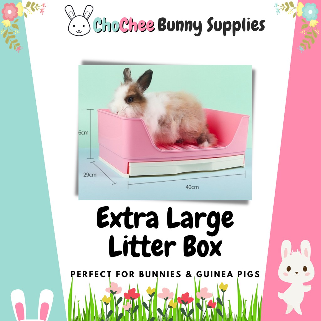 Bunny supplies clearance online