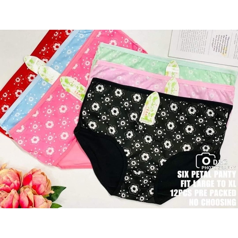 Women's Underwear - 12 Pieces