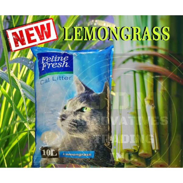 Lemongrass shop cat litter