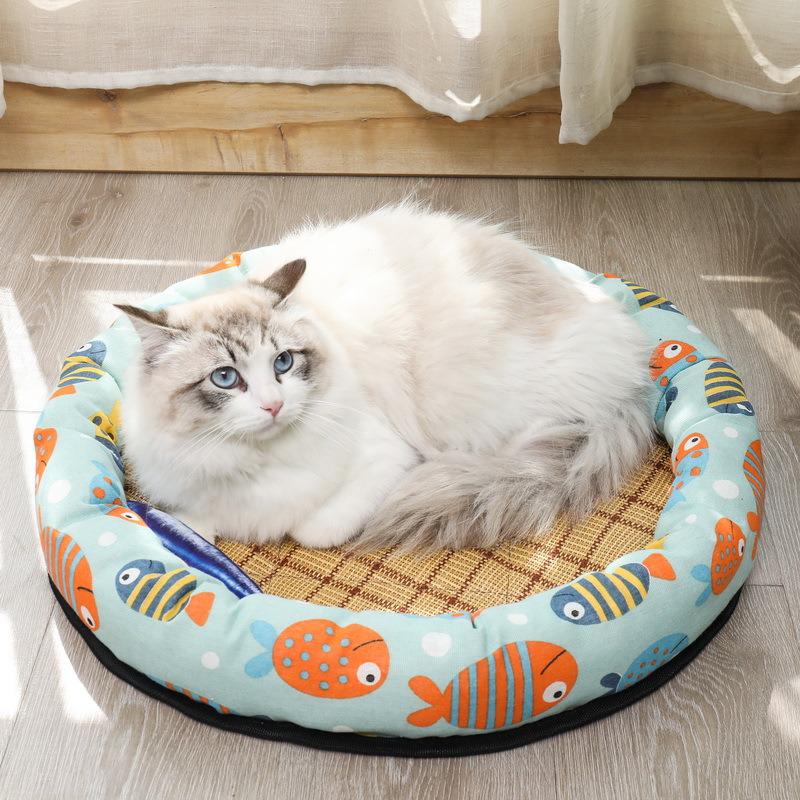 Pet City Supplies Store, Online Shop | Shopee Philippines