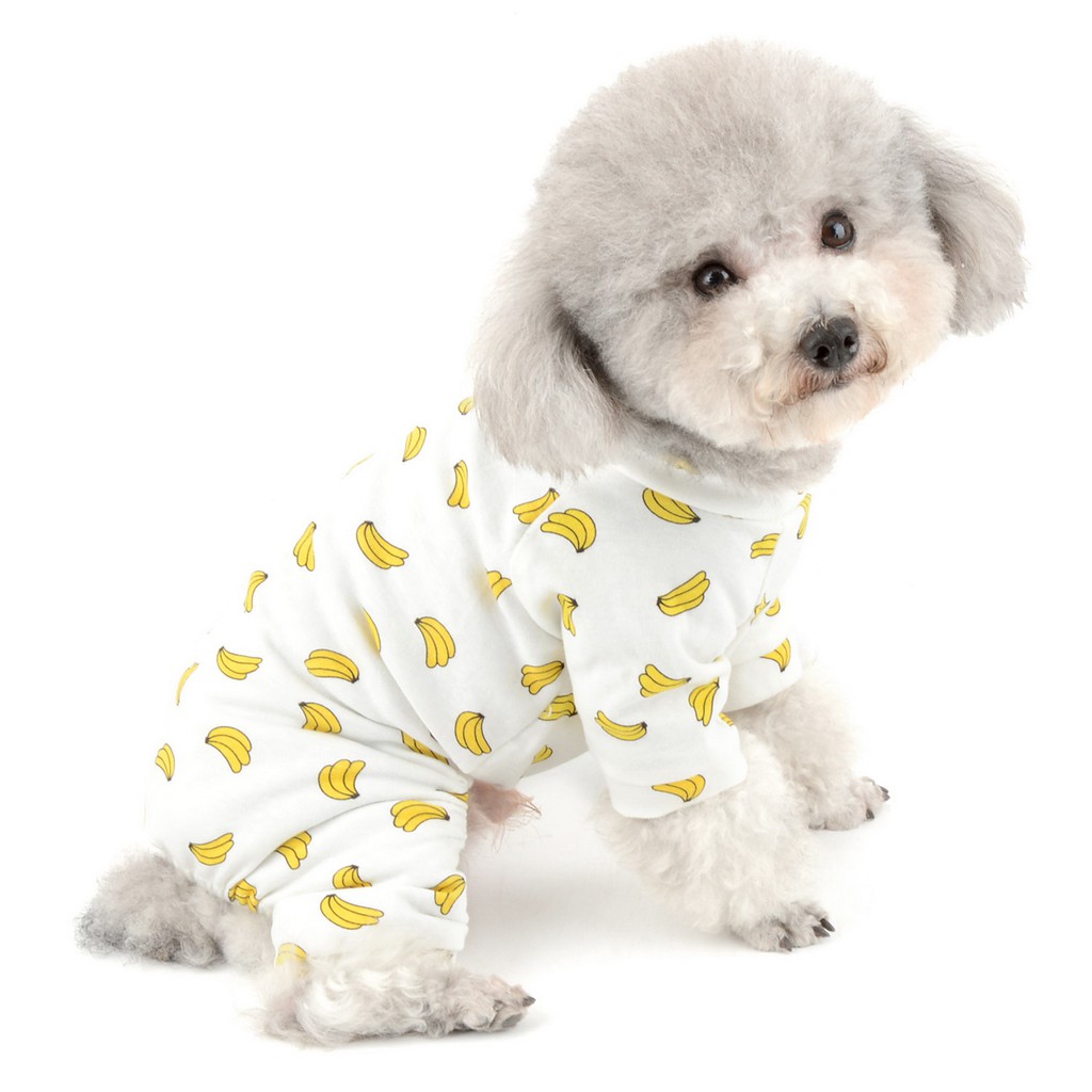 Yorkie print online pajamas