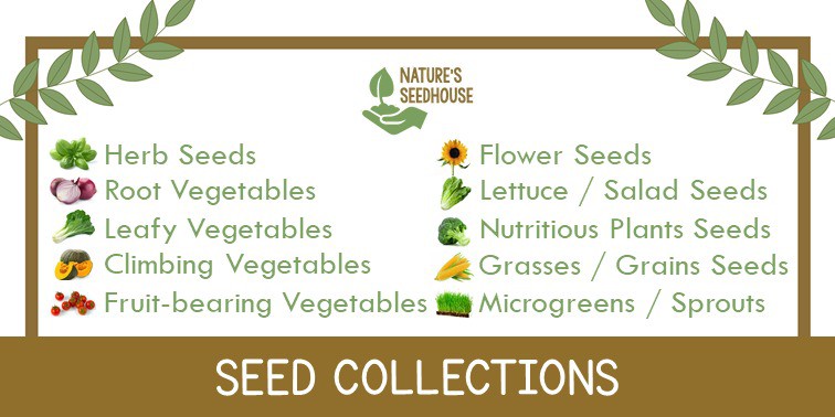 Nature's Seedhouse Philippines, Online Shop | Shopee Philippines