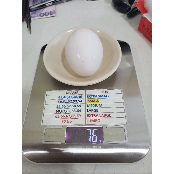 Digital Egg Scale