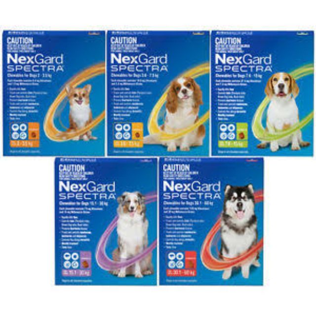 Nexgard spectra hot sale puppy