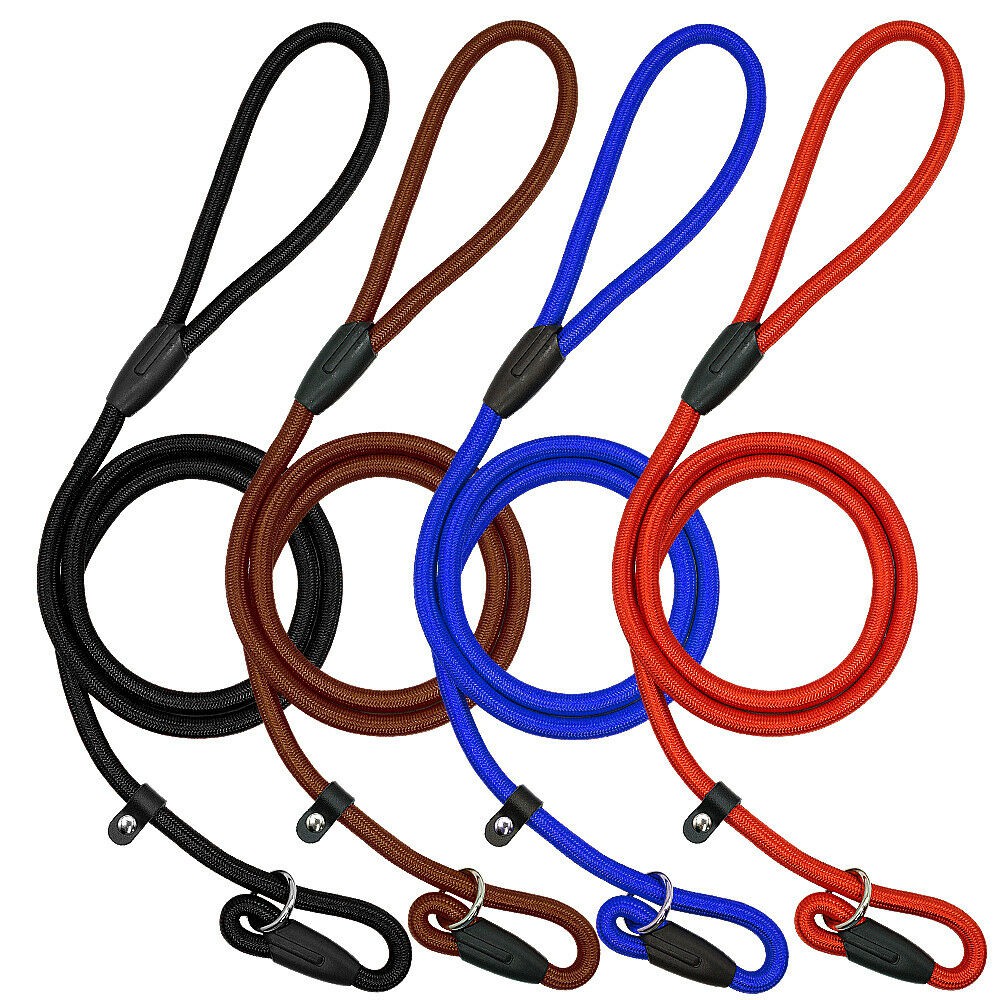 Training leash hotsell for dogs