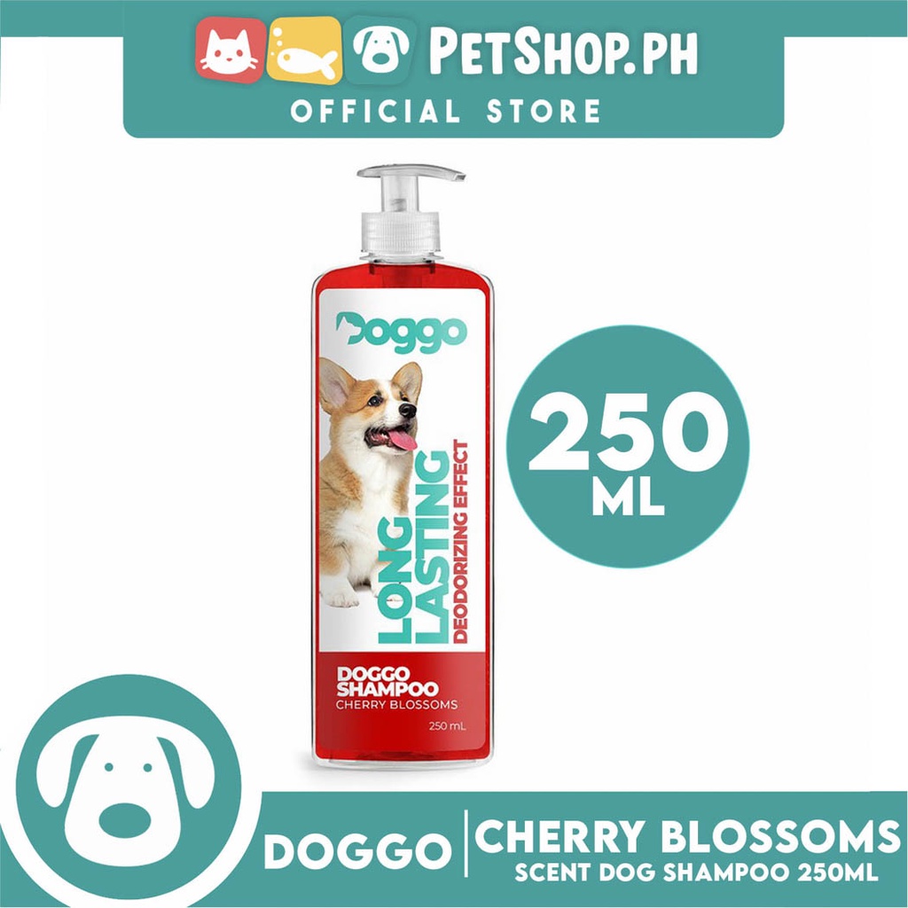 Dry dog 2025 shampoo tesco