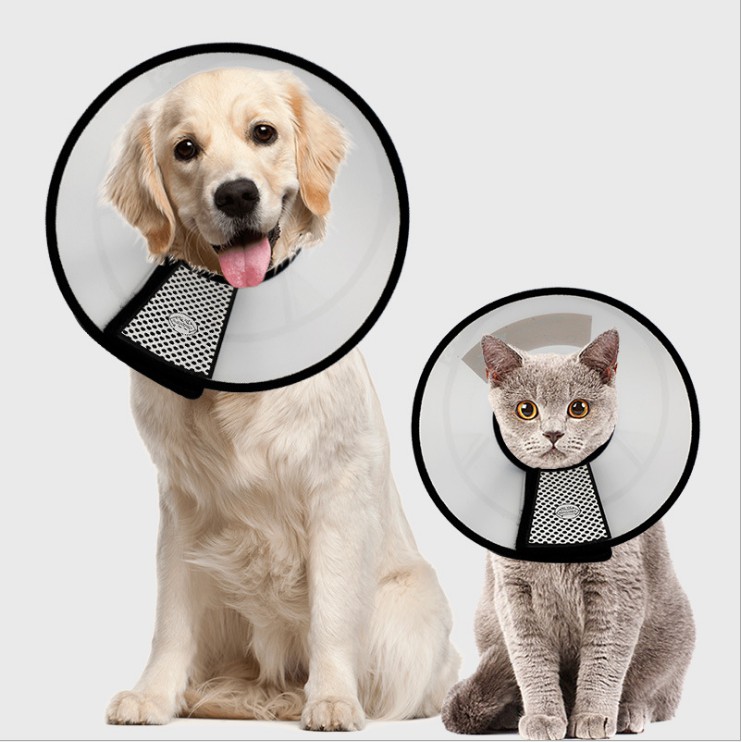 Pet cone outlet