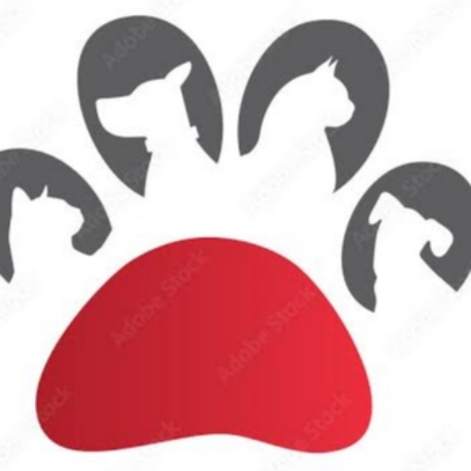 Mr.A Paws, Online Shop Shopee Philippines