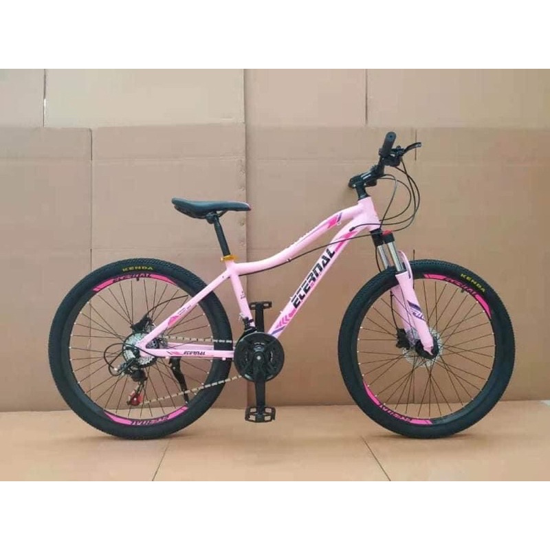 Ladies discount mountain bike