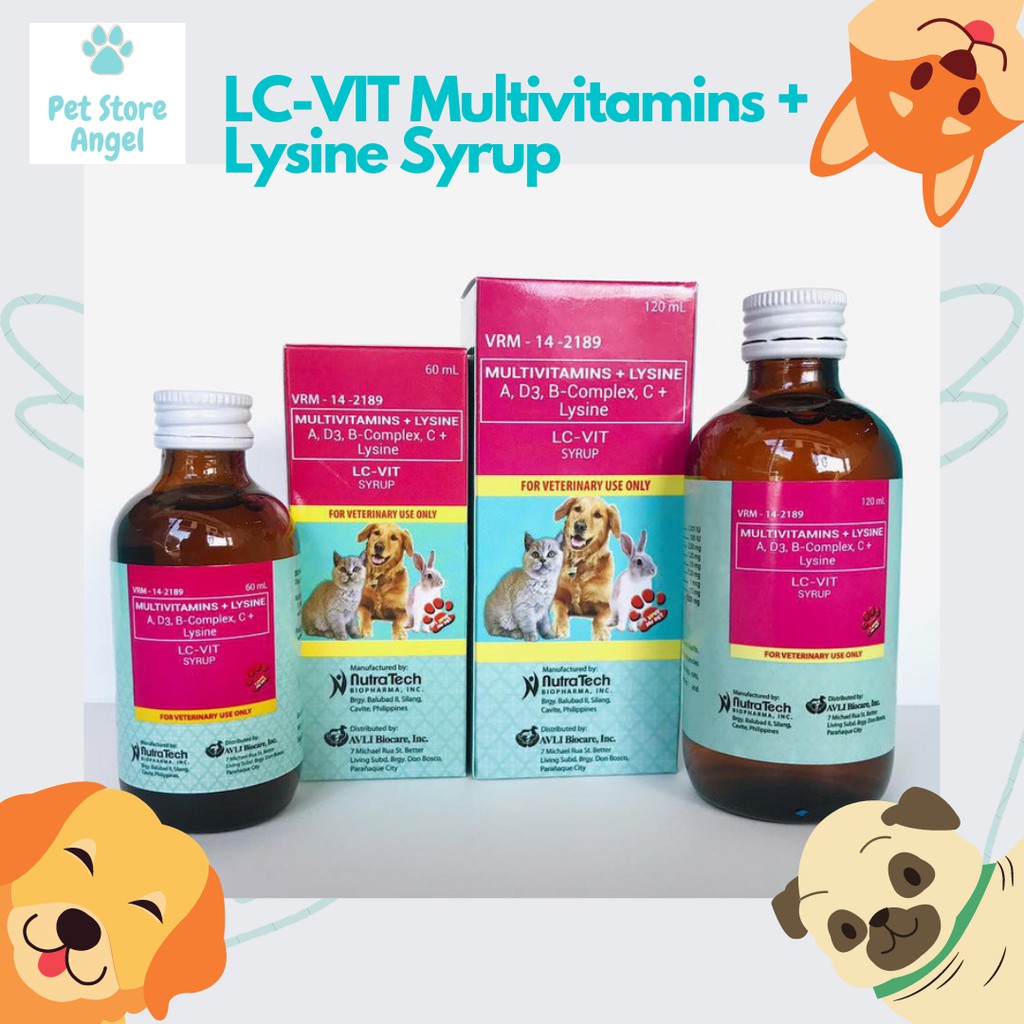 Vitamins for dogs to increase 2024 appetite philippines