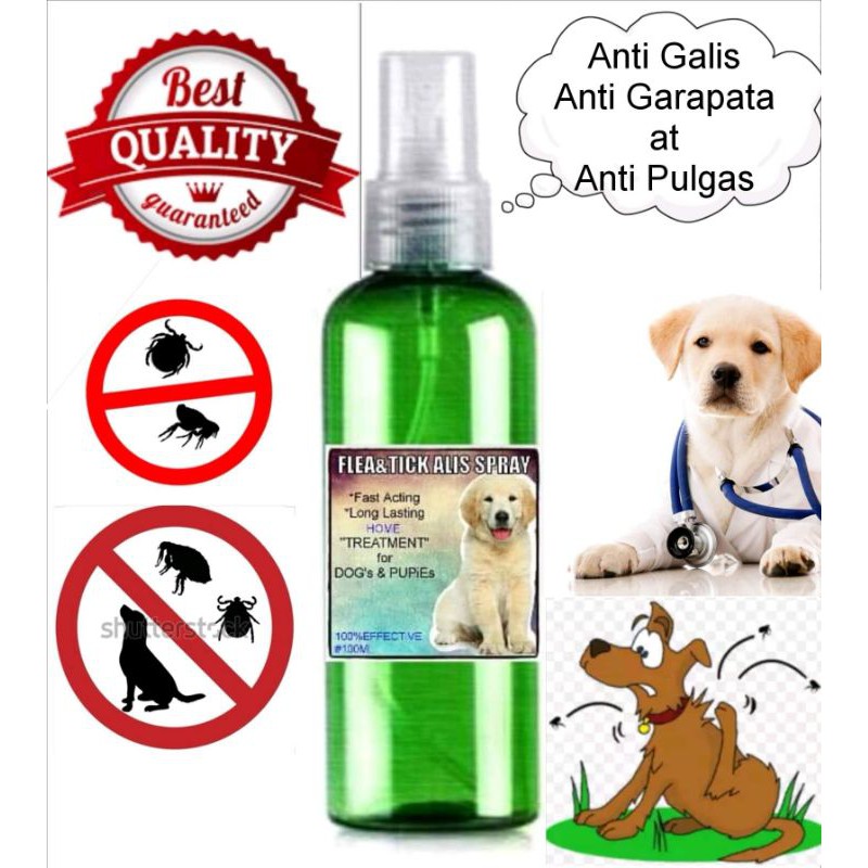 Anti garapata best sale for dogs