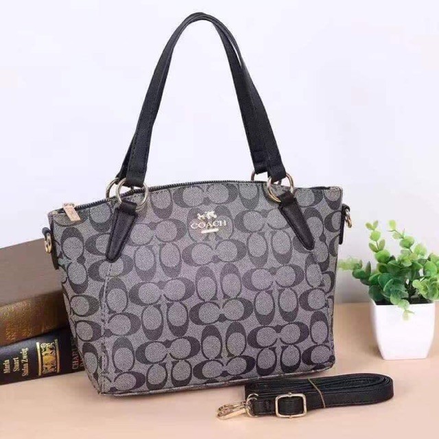 Shopee coach bag online