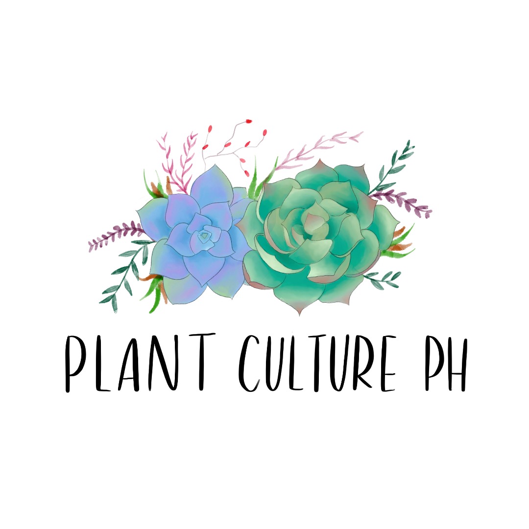 Plant culture