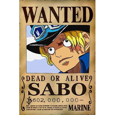 Real-listic One Piece Wanted Poster 28.5cm19.5cm, New Version, Zorro,  Luffy, 1.5 Billion