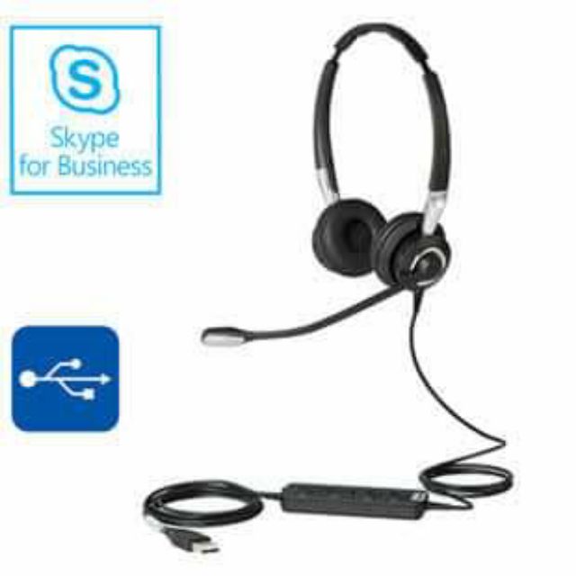 Jabra biz2400 online