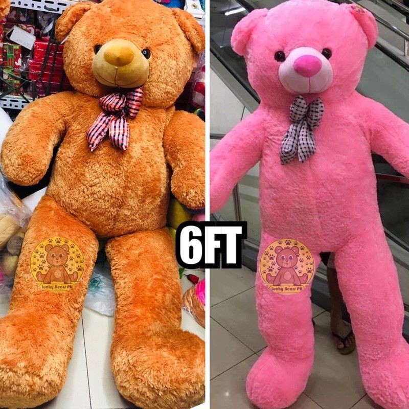 6ft teddy best sale bear cheap