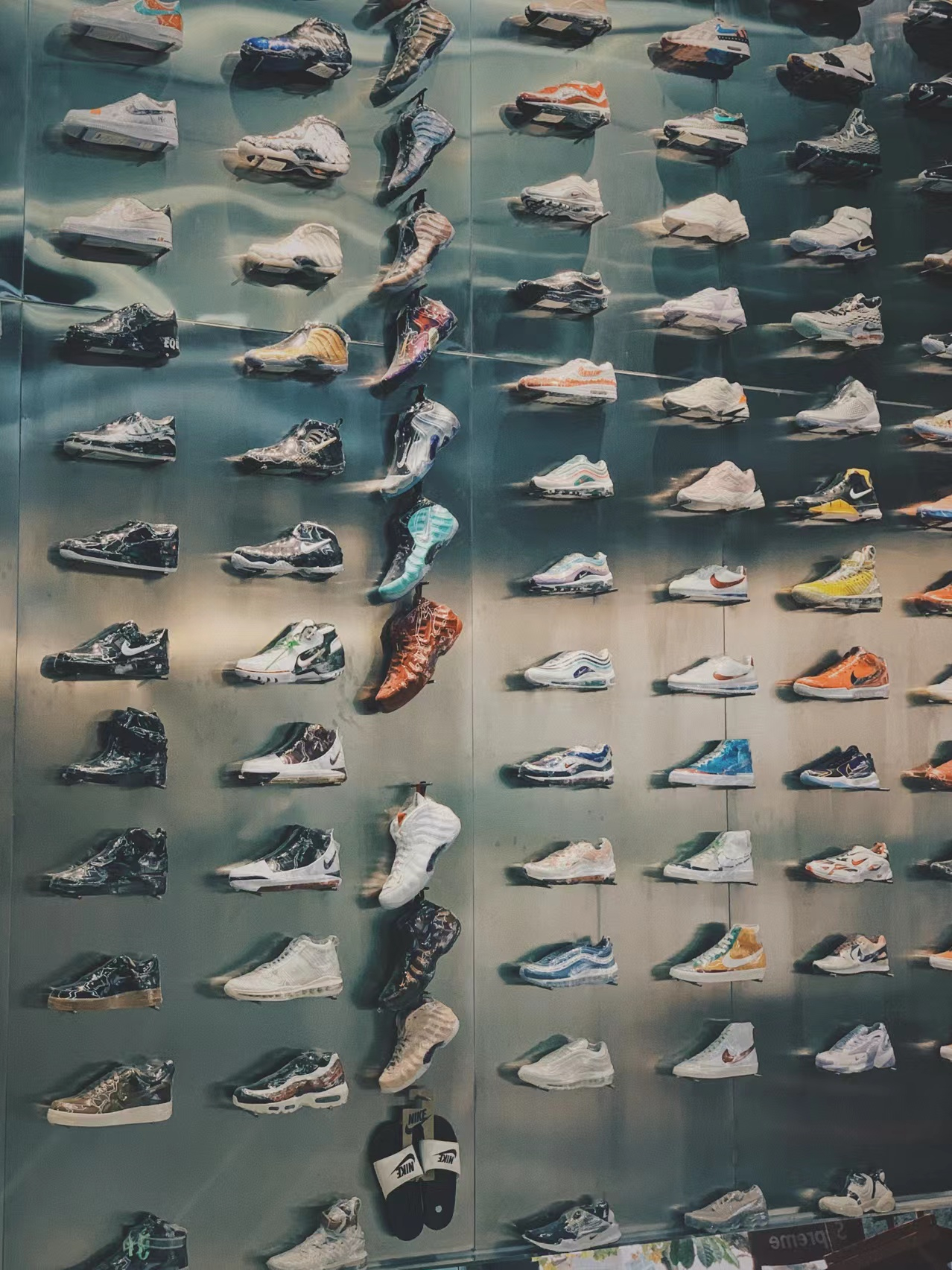 sneaker head shop