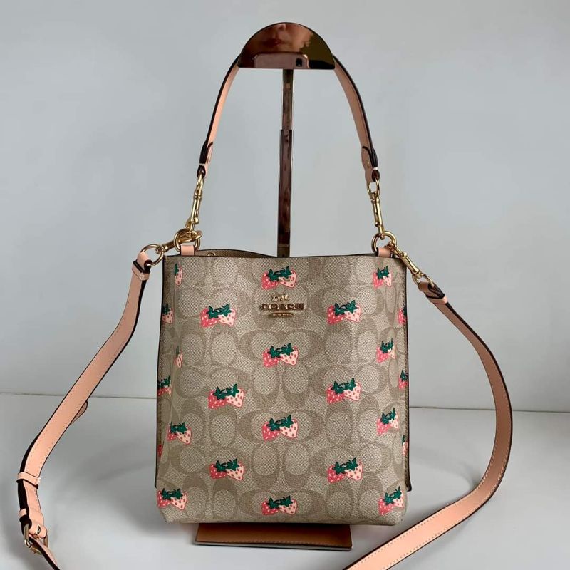 Strawberry print coach bag hot sale