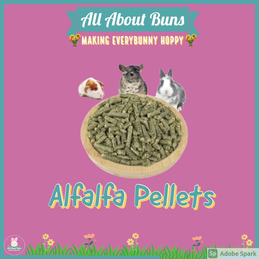 Alfalfa pellets outlet for baby rabbits