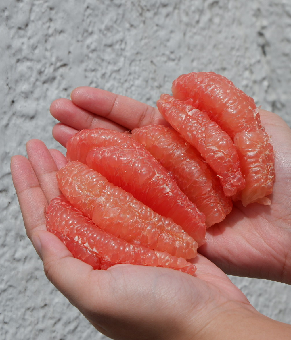 Fresh Pomelo PH, Online Shop Shopee Philippines