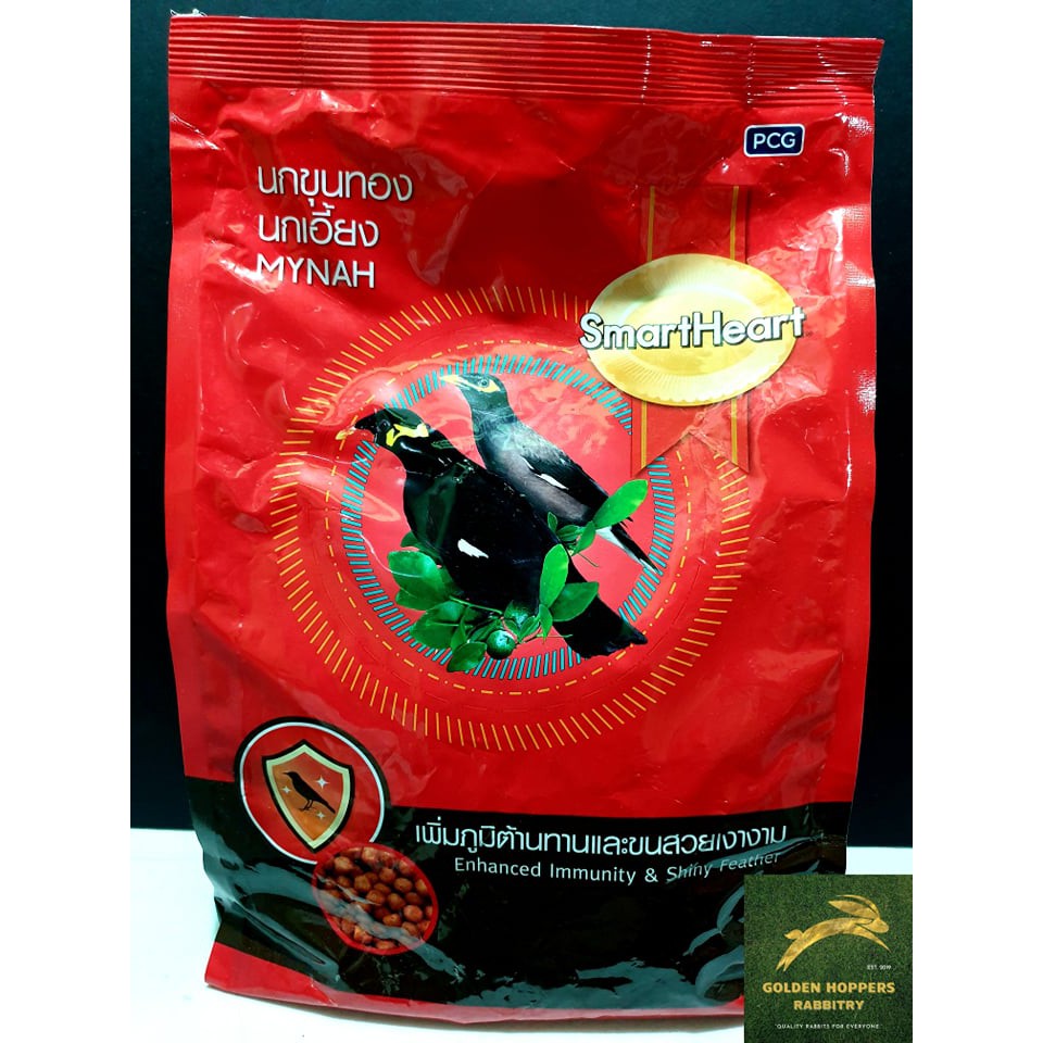 Mynah bird food outlet supplies