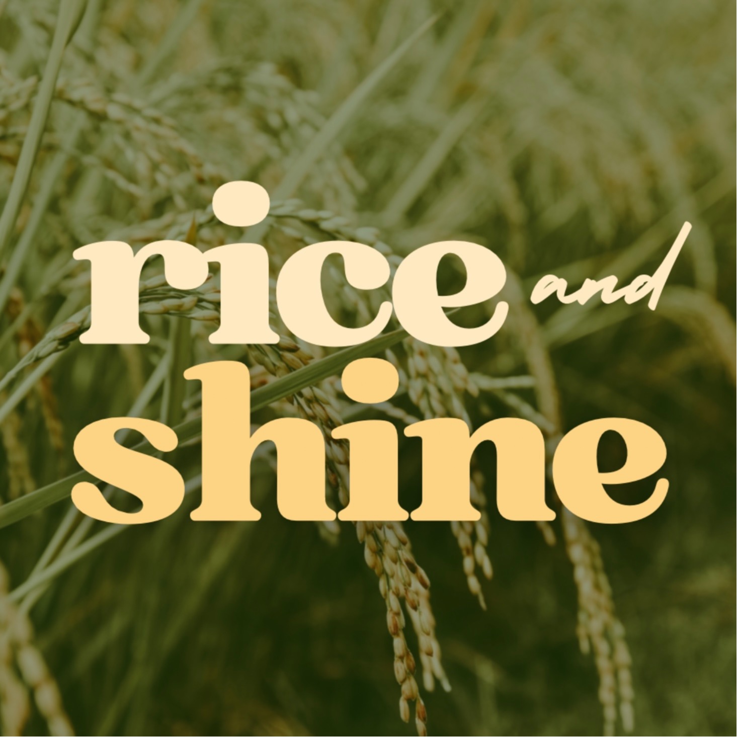 Rice and Shine, Online Shop Shopee Philippines