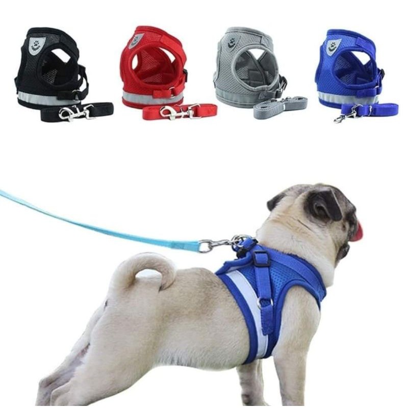 Puppy body hot sale leash