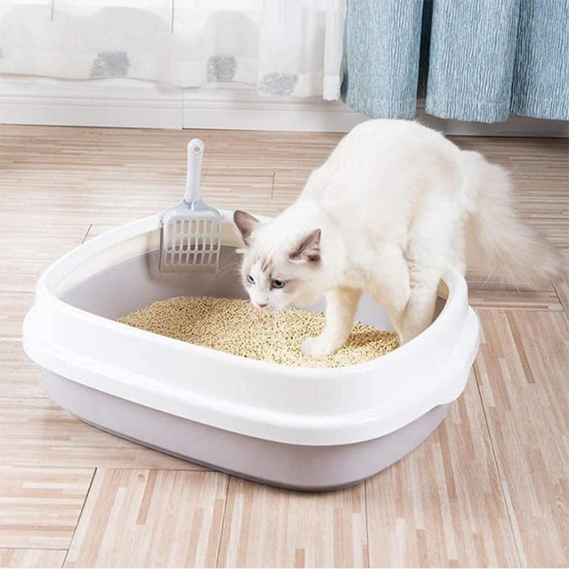 Cat litter 2025 box shopee