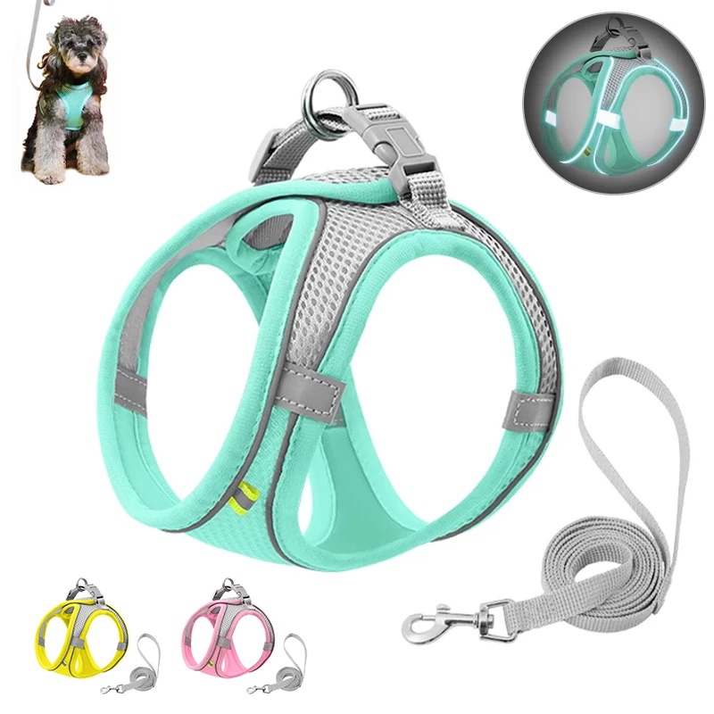 DY Loving Fashion Brand Pet Harness Set Adjustable Floral Grid Pattern Pet  Vest Leash Collar Outdoor Walking Pet Chest Strap for Pet Dog Cat ShihTzu