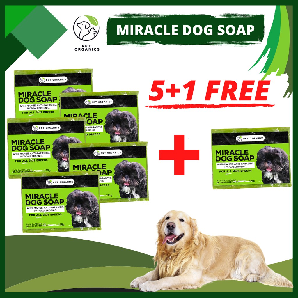 PET ORGANICS 5 1 MIRACLE DOG SOAP BEST for Anti Mange and